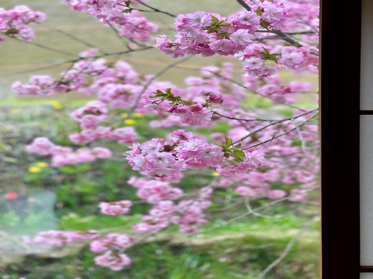 Toyako Yellow House By Lake Toya المظهر الخارجي الصورة